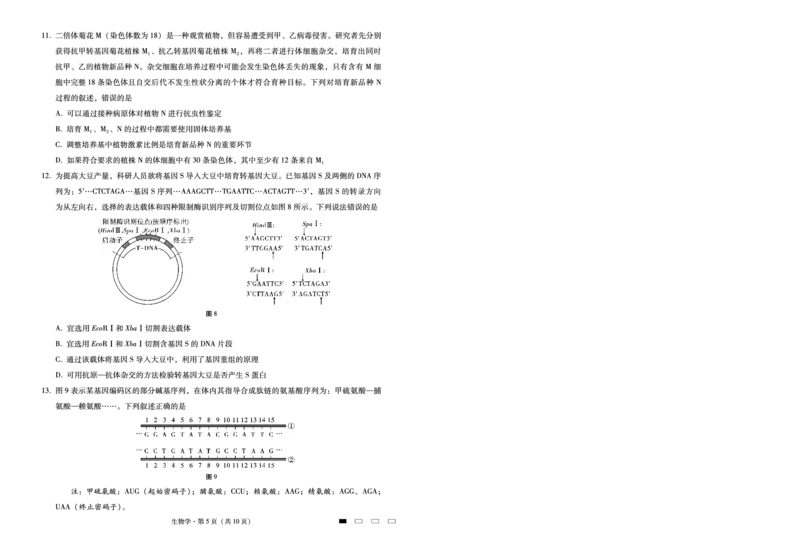 重庆市第八中学2025届高三2月适应性月考卷（五）生物_2025年3月_250302重庆市第八中学2025届高三2月适应性月考卷（五）（全科）_重庆市第八中学2025届高三2月适应性月考卷（五）生物