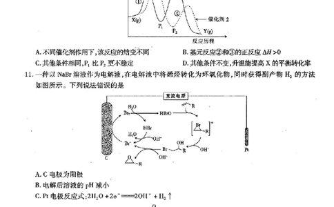 江西稳派1月期末化学+答案_2025年1月_250119江西智慧上进教育稳派联考2025届高三年级上学期期末教学质量质量检测1月联考（全科）