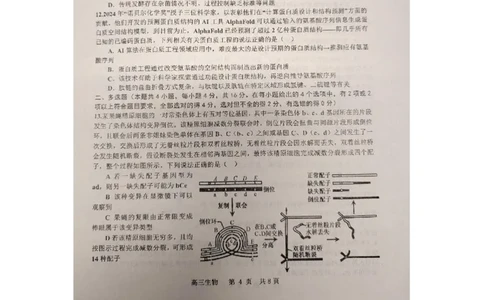 江西省景德镇市2025届高三上学期第二次质量检测生物试题_2025年1月_250123江西省景德镇市2025届高三上学期第二次质量检测