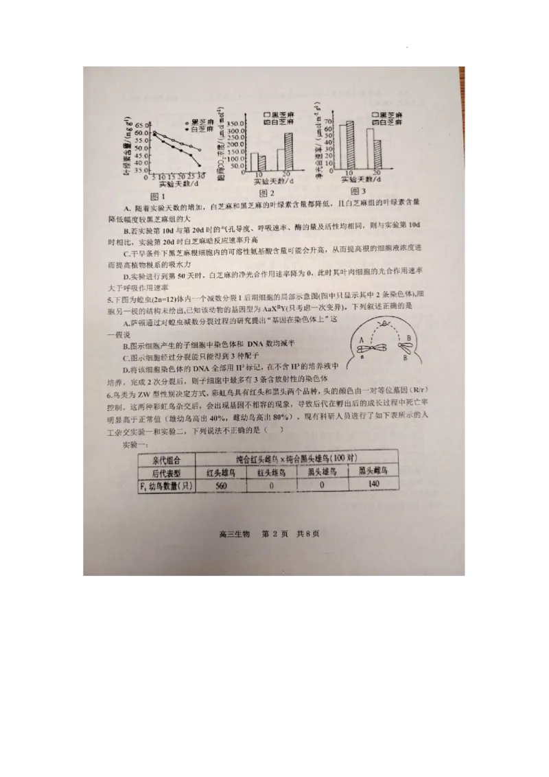 江西省景德镇市2025届高三上学期第二次质量检测生物试题_2025年1月_250123江西省景德镇市2025届高三上学期第二次质量检测