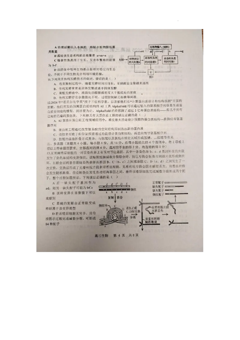 江西省景德镇市2025届高三上学期第二次质量检测生物试题_2025年1月_250123江西省景德镇市2025届高三上学期第二次质量检测