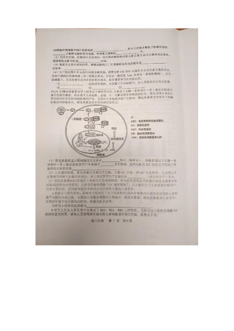 江西省景德镇市2025届高三上学期第二次质量检测生物试题_2025年1月_250123江西省景德镇市2025届高三上学期第二次质量检测
