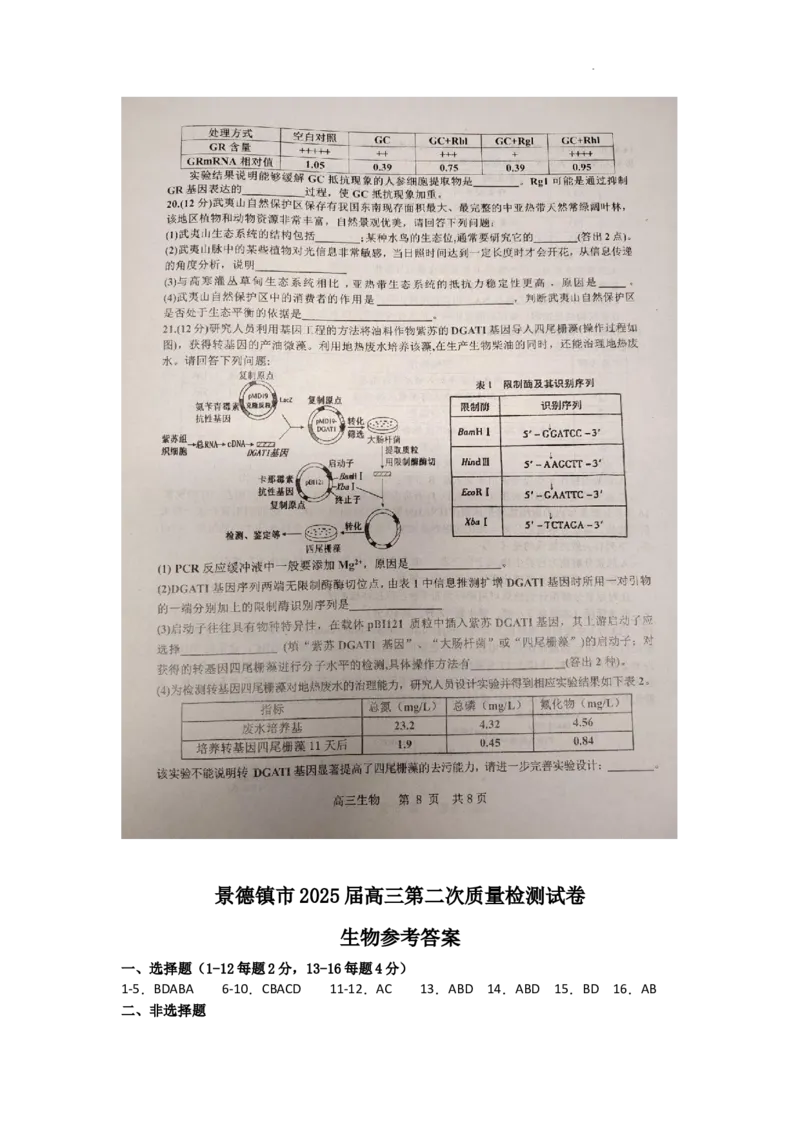 江西省景德镇市2025届高三上学期第二次质量检测生物试题_2025年1月_250123江西省景德镇市2025届高三上学期第二次质量检测