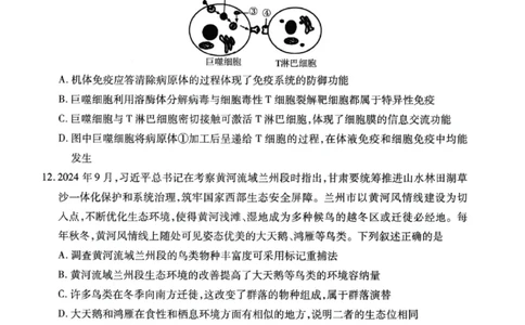 甘肃省2025年高三（3月）考试卷生物_2025年3月_250314甘肃省2025年高三（3月）考试卷（甘肃一诊）（全科）_甘肃省2025年高三（3月）考试卷生物
