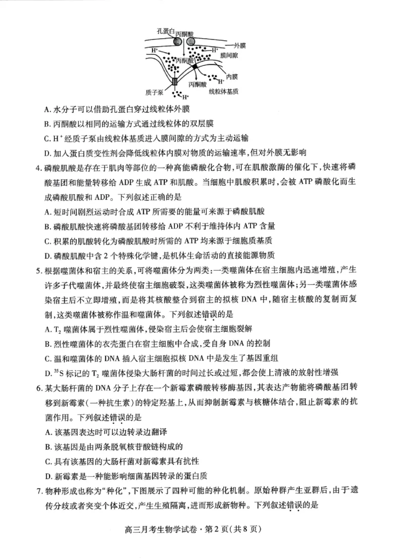 甘肃省2025年高三（3月）考试卷生物_2025年3月_250314甘肃省2025年高三（3月）考试卷（甘肃一诊）（全科）_甘肃省2025年高三（3月）考试卷生物