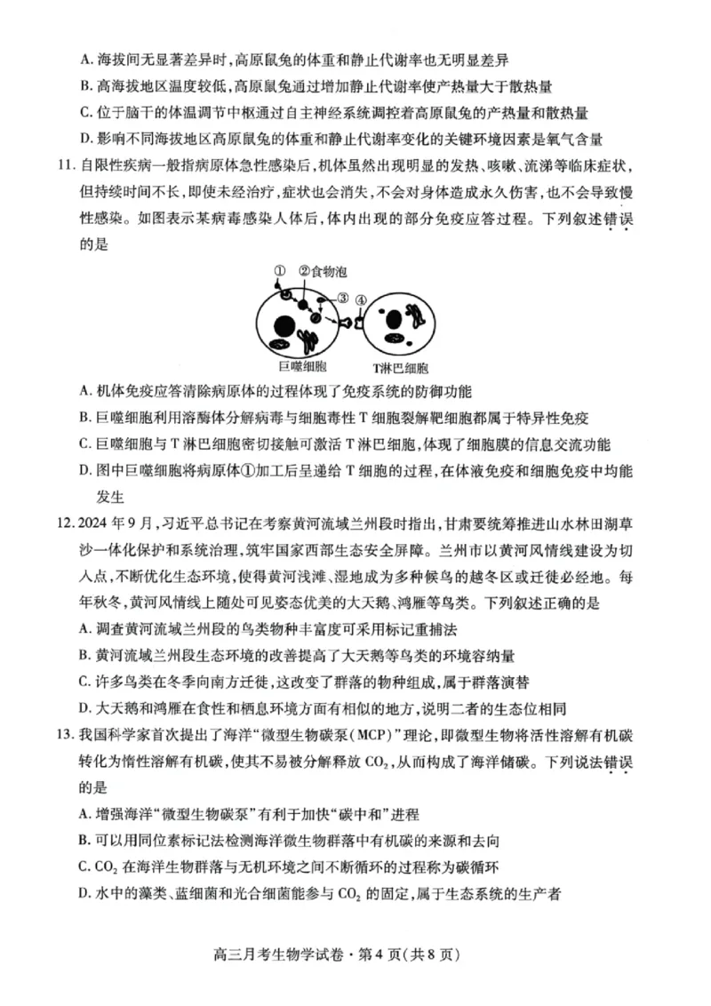 甘肃省2025年高三（3月）考试卷生物_2025年3月_250314甘肃省2025年高三（3月）考试卷（甘肃一诊）（全科）_甘肃省2025年高三（3月）考试卷生物