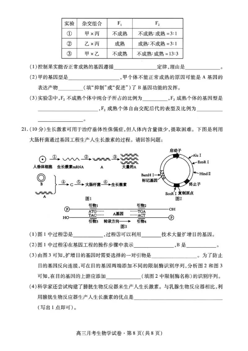 甘肃省2025年高三（3月）考试卷生物_2025年3月_250314甘肃省2025年高三（3月）考试卷（甘肃一诊）（全科）_甘肃省2025年高三（3月）考试卷生物