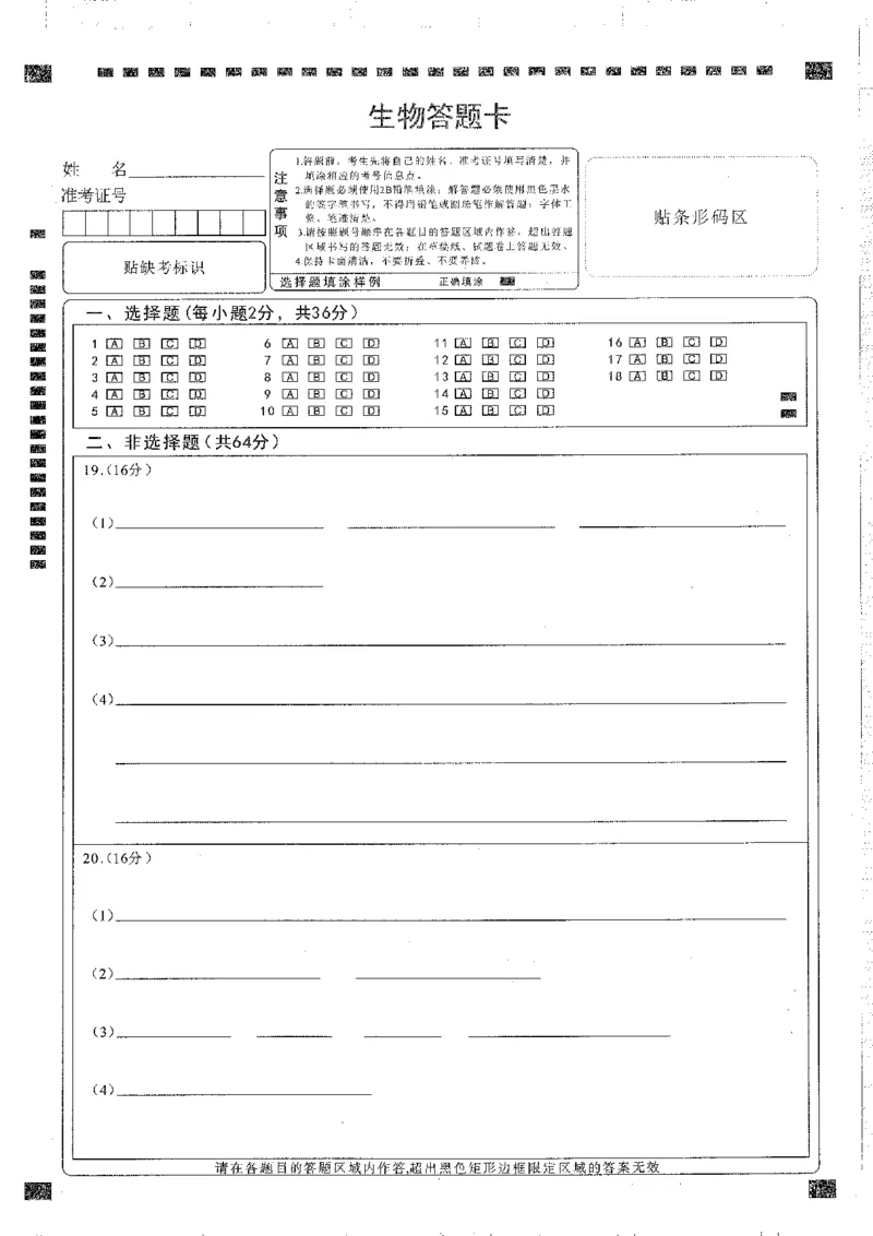 生物答题卡(1)_2025年1月_250108湖北省部分市州2025年元月高三期末联考（全科）_湖北省部分市州2025年元月高三期末联考生物