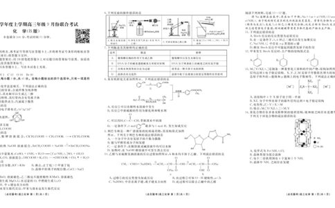 点石联考2025-2026学年度上学期高三年级9月份联合考试化学（B版）_2025年9月_250907点石联考2025-2026学年度上学期高三年级9月份联合考试（全科）