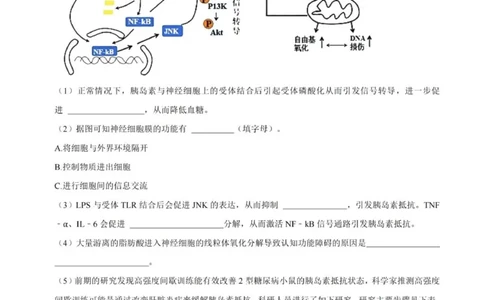 2024上海生物等级考考前必刷信息卷4含解析_2024高考押题卷_62024学科网全系列_2024年高考考前信息必刷卷_（上海）信息必刷卷_2024上海生物等级考考前必刷信息卷（1-5）