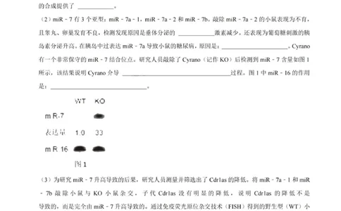 2024上海生物等级考考前必刷信息卷4含解析_2024高考押题卷_62024学科网全系列_2024年高考考前信息必刷卷_（上海）信息必刷卷_2024上海生物等级考考前必刷信息卷（1-5）
