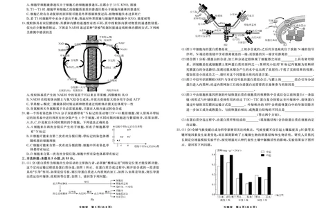 生物2025年辽宁高三9月联考正文_2025年9月_250905辽宁省名校联盟2025年高三9月份联合考试（全科）_生物