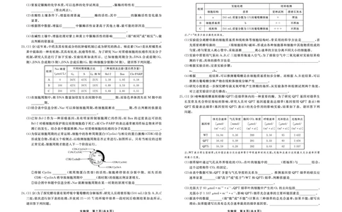 生物2025年辽宁高三9月联考正文_2025年9月_250905辽宁省名校联盟2025年高三9月份联合考试（全科）_生物