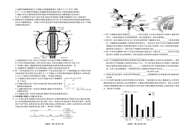 生物2025年辽宁高三9月联考正文_2025年9月_250905辽宁省名校联盟2025年高三9月份联合考试（全科）_生物