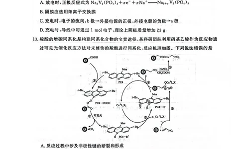 河南省2025届高三青桐鸣3月大联考化学试题+答案_2025年3月_250313河南省青桐鸣大联考2024-2025学年高三下学期3月月考