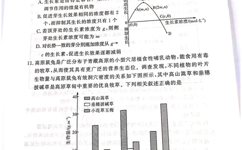 生物_2025年4月_2504292025届湘豫名校联考高三下学期第三次模拟考试_2025届湘豫名校高三三模生物试卷