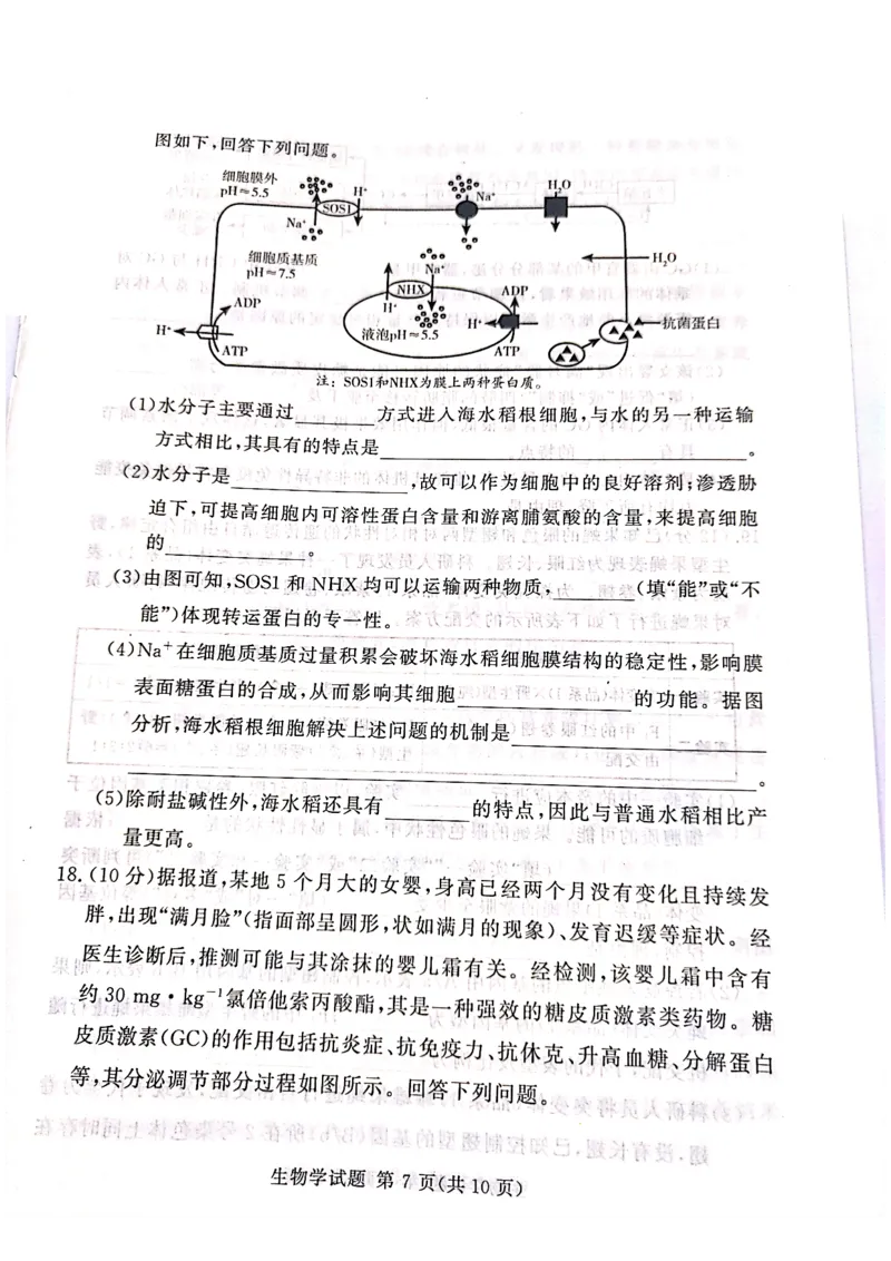 生物_2025年4月_2504292025届湘豫名校联考高三下学期第三次模拟考试_2025届湘豫名校高三三模生物试卷