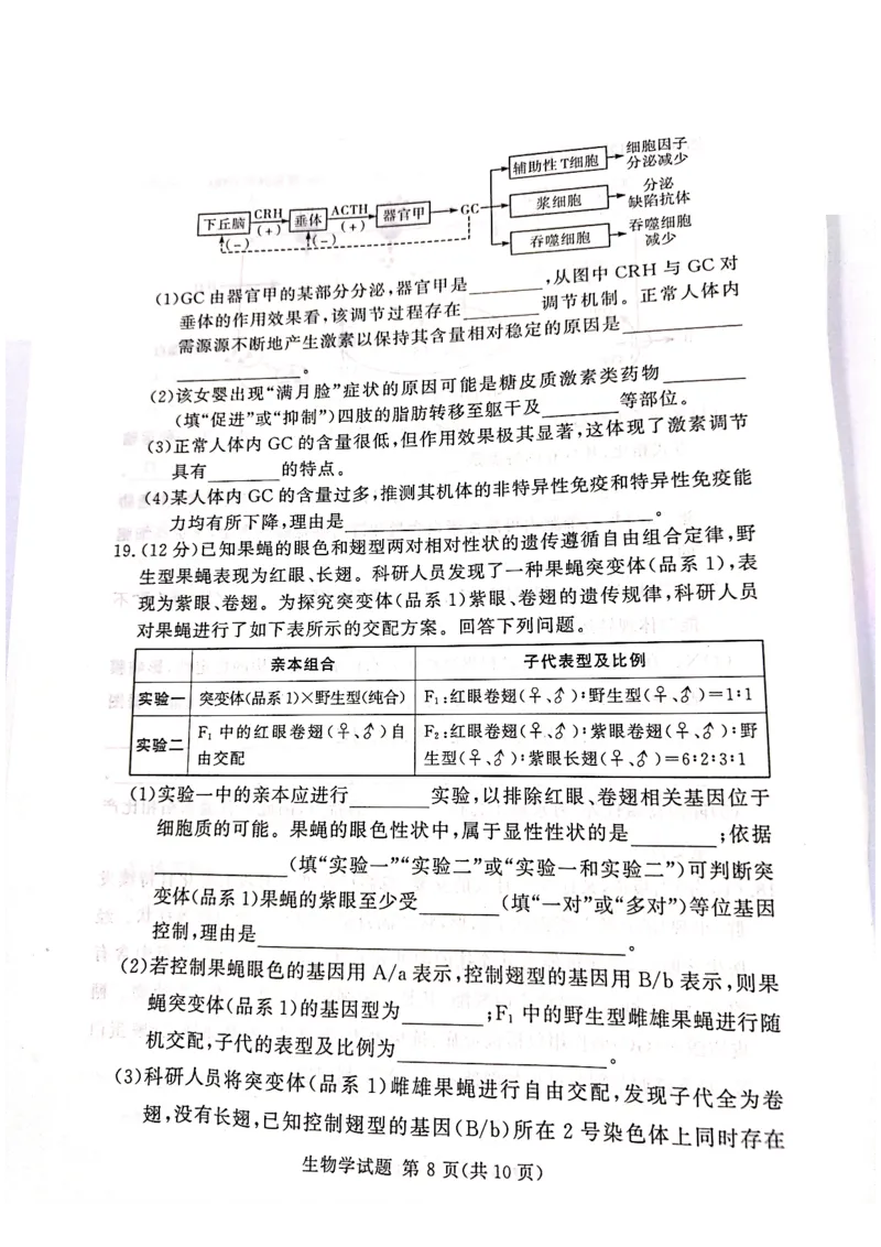 生物_2025年4月_2504292025届湘豫名校联考高三下学期第三次模拟考试_2025届湘豫名校高三三模生物试卷
