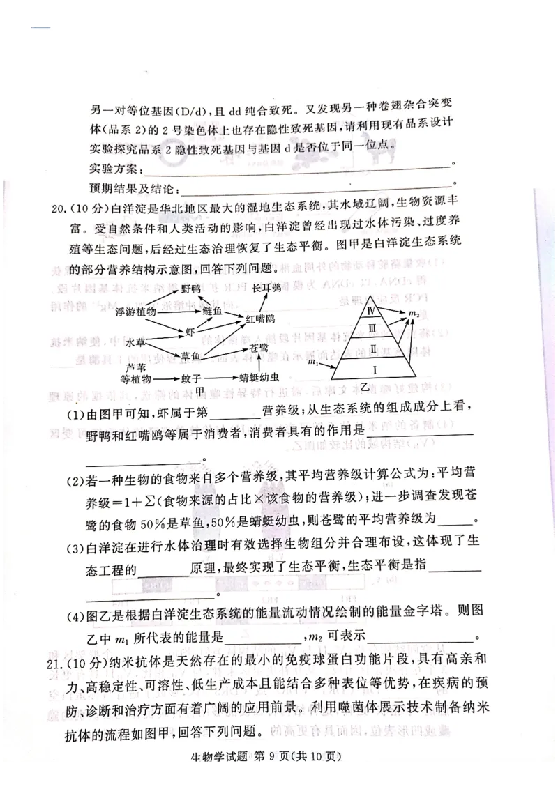 生物_2025年4月_2504292025届湘豫名校联考高三下学期第三次模拟考试_2025届湘豫名校高三三模生物试卷