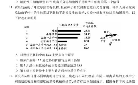 生物安徽省蚌埠市2025-2026学年高三上学期调研性监测_2025年8月_250830安徽省蚌埠市2025-2026学年高三上学期调研性监测（全科）