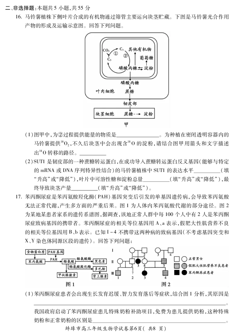 生物安徽省蚌埠市2025-2026学年高三上学期调研性监测_2025年8月_250830安徽省蚌埠市2025-2026学年高三上学期调研性监测（全科）