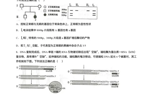山东省青岛市2024-2025学年高三上学期期末生物试题(无答案)_2025年1月_250126山东省青岛市2025届高三1月期末考