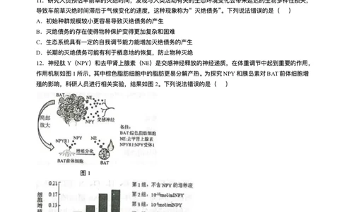 山东省青岛市2024-2025学年高三上学期期末生物试题(无答案)_2025年1月_250126山东省青岛市2025届高三1月期末考
