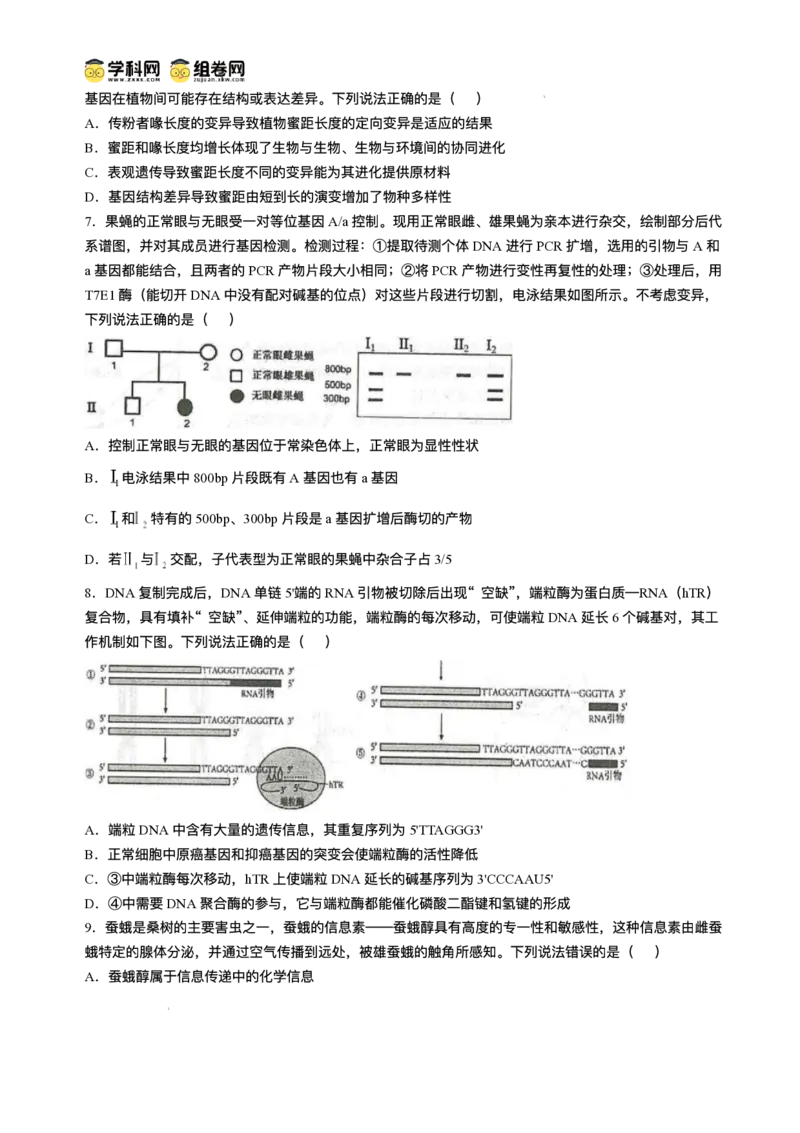 山东省青岛市2024-2025学年高三上学期期末生物试题(无答案)_2025年1月_250126山东省青岛市2025届高三1月期末考