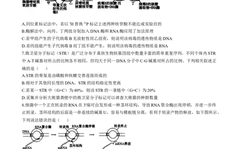江苏省扬州市高邮市2024-2025学年高三下学期开学考试生物+答案_2025年2月_250219江苏省扬州市高邮市2024-2025学年高三下学期开学考试试题