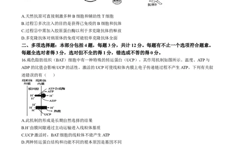 江苏省扬州市高邮市2024-2025学年高三下学期开学考试生物+答案_2025年2月_250219江苏省扬州市高邮市2024-2025学年高三下学期开学考试试题