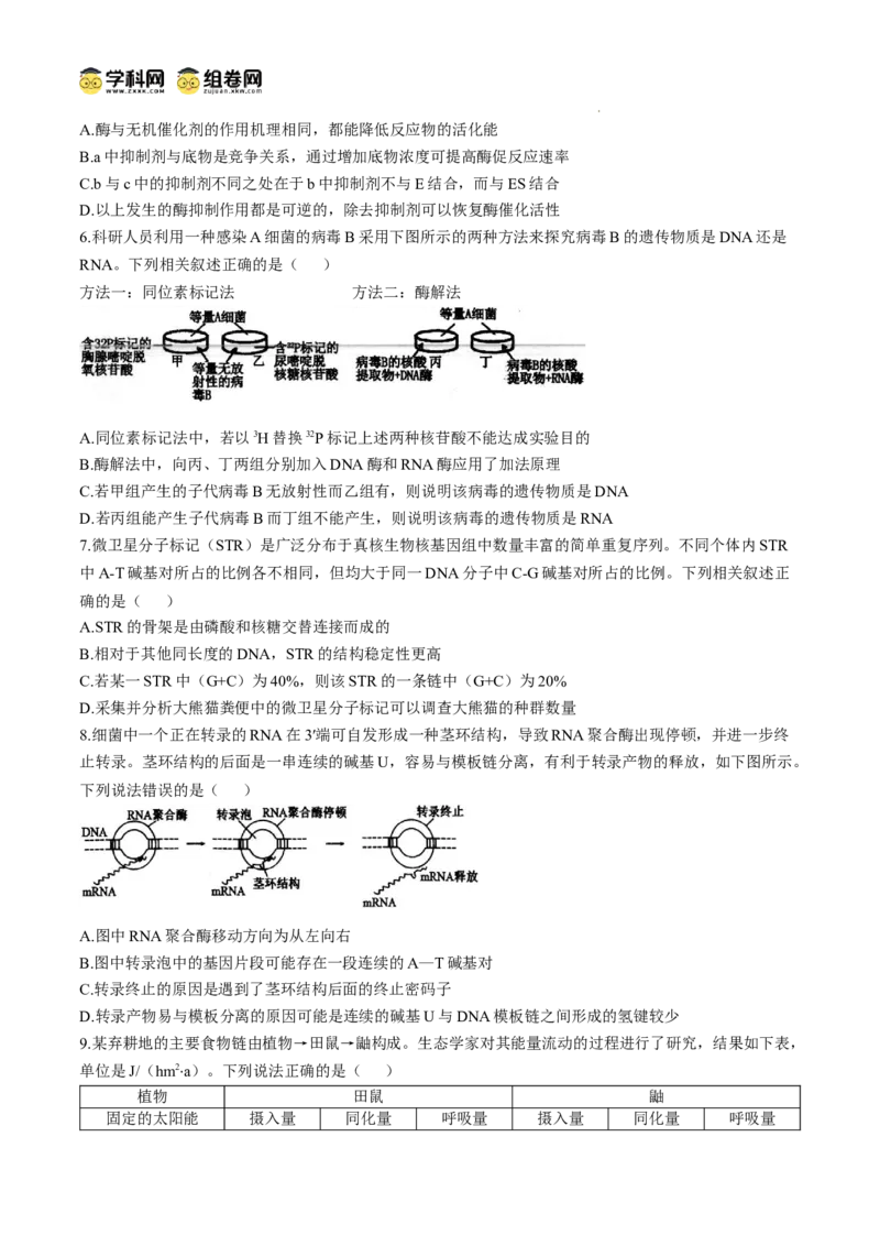 江苏省扬州市高邮市2024-2025学年高三下学期开学考试生物+答案_2025年2月_250219江苏省扬州市高邮市2024-2025学年高三下学期开学考试试题