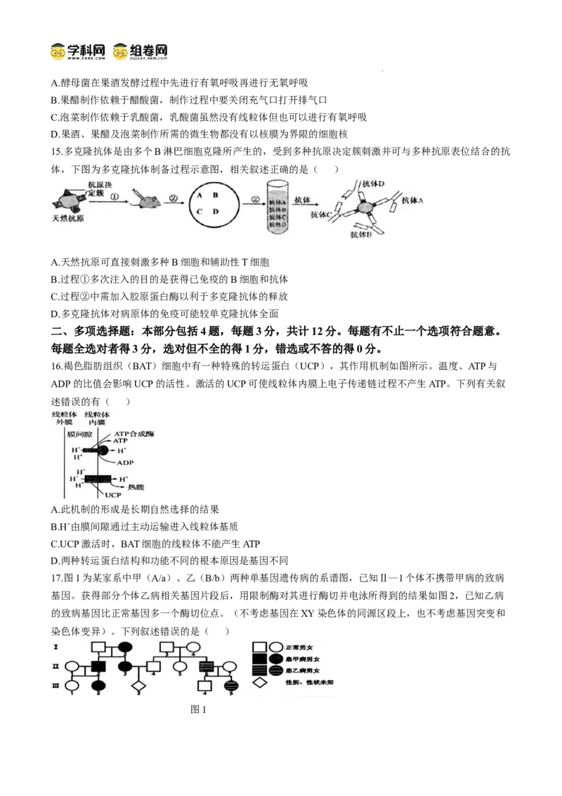 江苏省扬州市高邮市2024-2025学年高三下学期开学考试生物+答案_2025年2月_250219江苏省扬州市高邮市2024-2025学年高三下学期开学考试试题