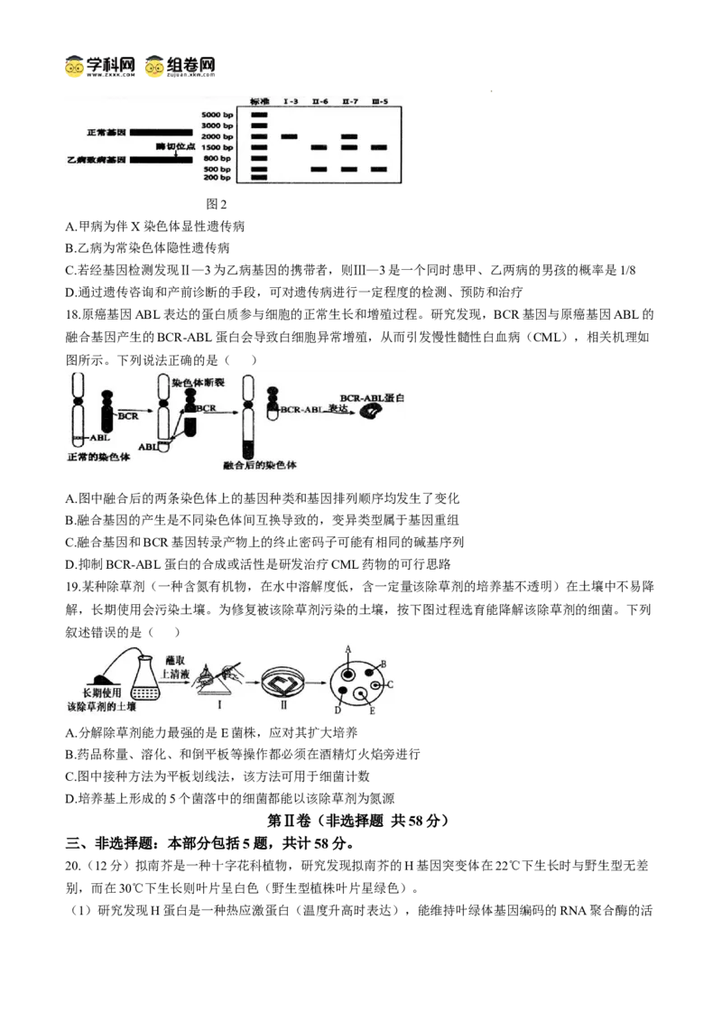 江苏省扬州市高邮市2024-2025学年高三下学期开学考试生物+答案_2025年2月_250219江苏省扬州市高邮市2024-2025学年高三下学期开学考试试题