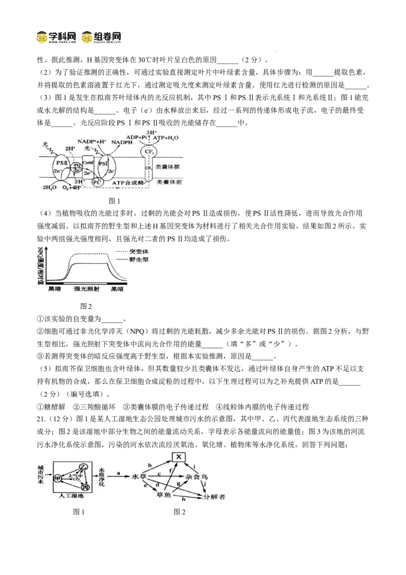江苏省扬州市高邮市2024-2025学年高三下学期开学考试生物+答案_2025年2月_250219江苏省扬州市高邮市2024-2025学年高三下学期开学考试试题