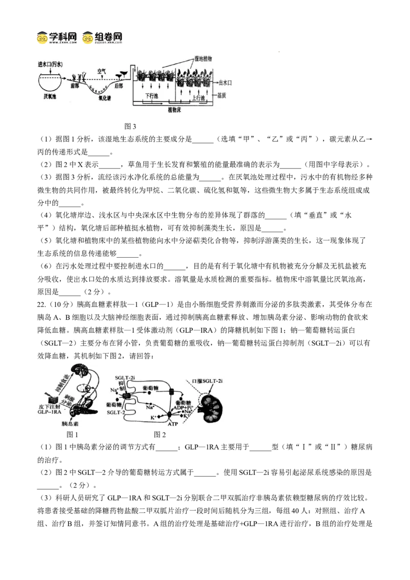 江苏省扬州市高邮市2024-2025学年高三下学期开学考试生物+答案_2025年2月_250219江苏省扬州市高邮市2024-2025学年高三下学期开学考试试题