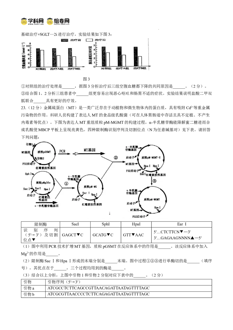 江苏省扬州市高邮市2024-2025学年高三下学期开学考试生物+答案_2025年2月_250219江苏省扬州市高邮市2024-2025学年高三下学期开学考试试题