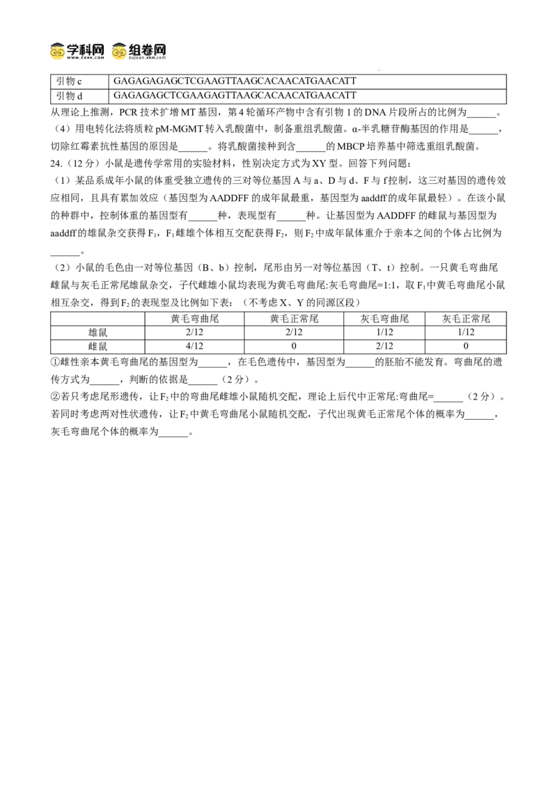 江苏省扬州市高邮市2024-2025学年高三下学期开学考试生物+答案_2025年2月_250219江苏省扬州市高邮市2024-2025学年高三下学期开学考试试题