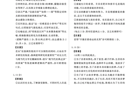 河南青桐鸣大联考2025年高三考前适应性考试-语文评分细则_2025年5月_2505172025届河南省青桐鸣5月大联考高三考前适应性考试（全科）
