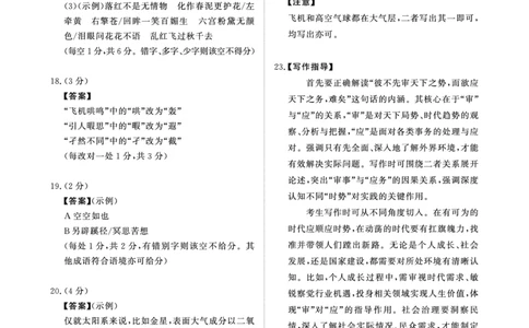河南青桐鸣大联考2025年高三考前适应性考试-语文评分细则_2025年5月_2505172025届河南省青桐鸣5月大联考高三考前适应性考试（全科）