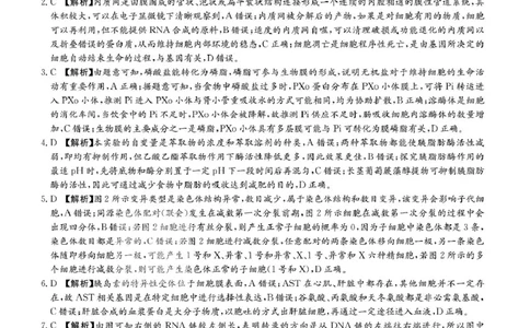 答案_2025年1月_250101湖南省长沙市雅礼中学2024-2025学年高三上学期月考（四）_湖南省长沙市雅礼中学2024-2025学年高三上学期月考（四）生物试卷扫描版含答案KS5U高考
