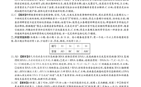答案_2025年1月_250101湖南省长沙市雅礼中学2024-2025学年高三上学期月考（四）_湖南省长沙市雅礼中学2024-2025学年高三上学期月考（四）生物试卷扫描版含答案KS5U高考
