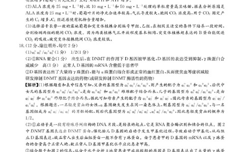 答案_2025年1月_250101湖南省长沙市雅礼中学2024-2025学年高三上学期月考（四）_湖南省长沙市雅礼中学2024-2025学年高三上学期月考（四）生物试卷扫描版含答案KS5U高考