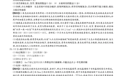 答案_2025年1月_250101湖南省长沙市雅礼中学2024-2025学年高三上学期月考（四）_湖南省长沙市雅礼中学2024-2025学年高三上学期月考（四）生物试卷扫描版含答案KS5U高考