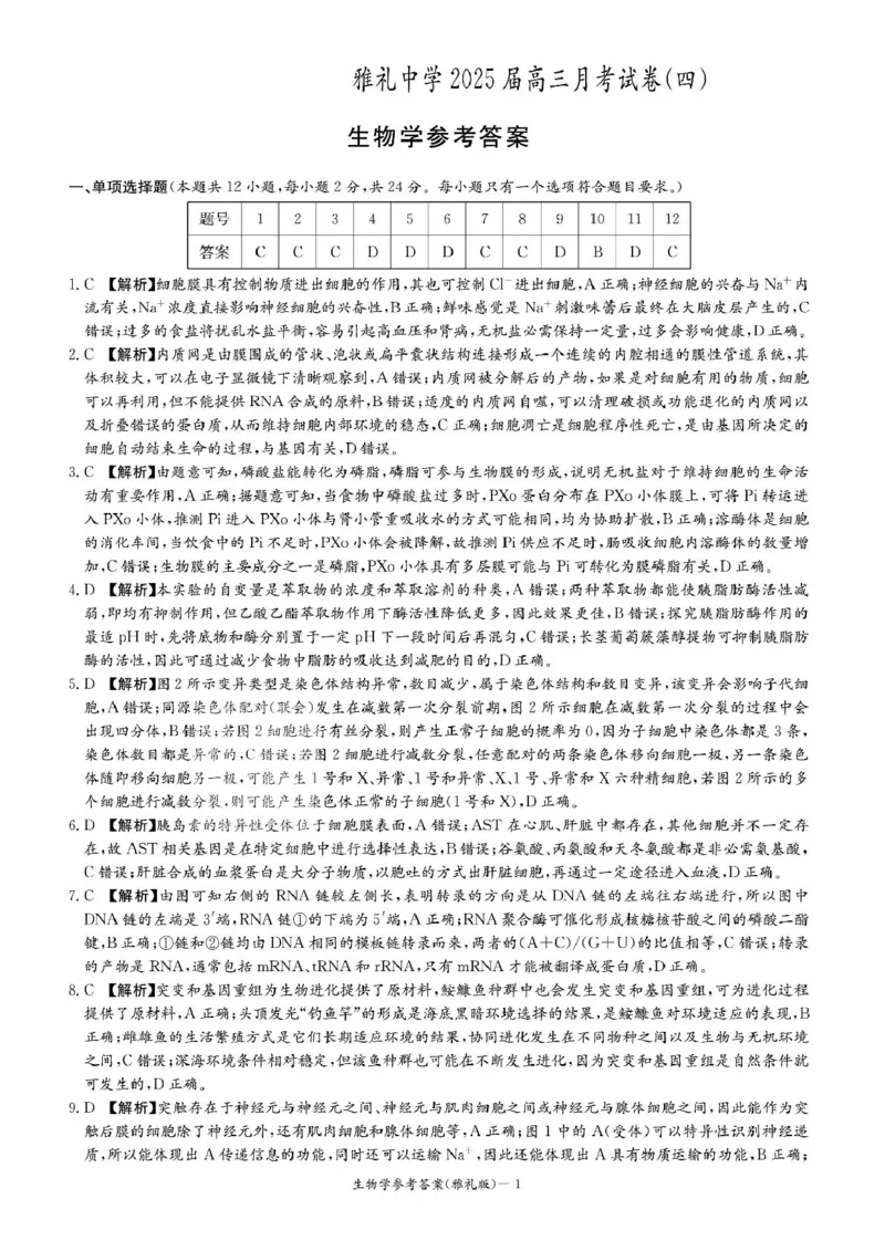 答案_2025年1月_250101湖南省长沙市雅礼中学2024-2025学年高三上学期月考（四）_湖南省长沙市雅礼中学2024-2025学年高三上学期月考（四）生物试卷扫描版含答案KS5U高考