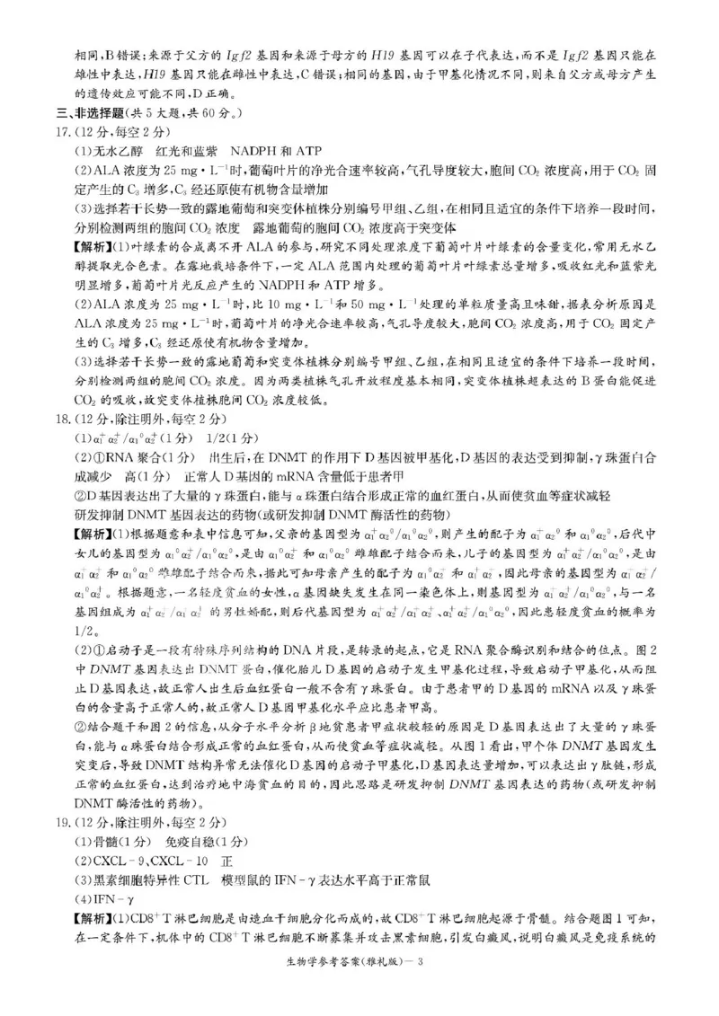 答案_2025年1月_250101湖南省长沙市雅礼中学2024-2025学年高三上学期月考（四）_湖南省长沙市雅礼中学2024-2025学年高三上学期月考（四）生物试卷扫描版含答案KS5U高考