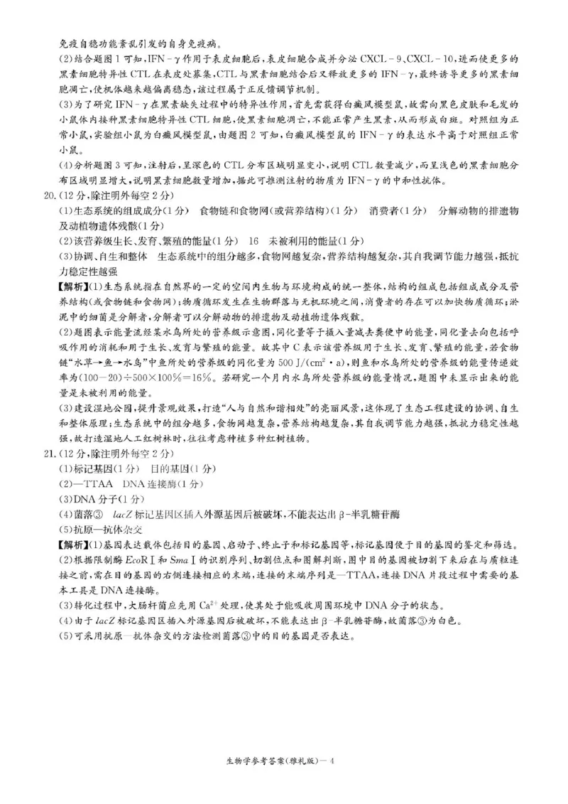 答案_2025年1月_250101湖南省长沙市雅礼中学2024-2025学年高三上学期月考（四）_湖南省长沙市雅礼中学2024-2025学年高三上学期月考（四）生物试卷扫描版含答案KS5U高考