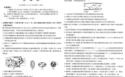 安徽省阜阳市2025届高三上学期教学质量统测生物试卷（含答案）_2025年1月_250110安徽省阜阳市2025届高三上学期教学质量统测（全科）