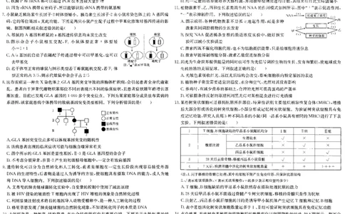 安徽省阜阳市2025届高三上学期教学质量统测生物试卷（含答案）_2025年1月_250110安徽省阜阳市2025届高三上学期教学质量统测（全科）
