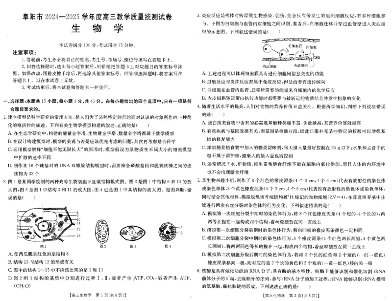 安徽省阜阳市2025届高三上学期教学质量统测生物试卷（含答案）_2025年1月_250110安徽省阜阳市2025届高三上学期教学质量统测（全科）