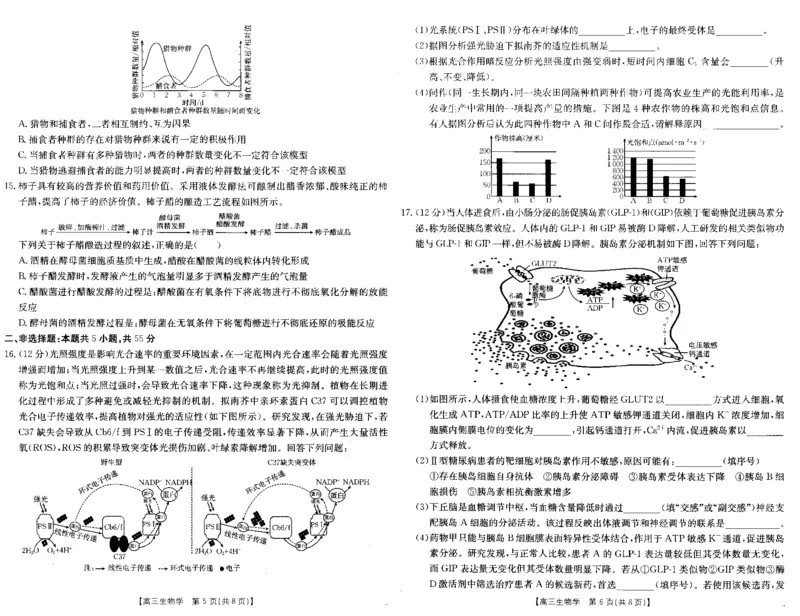 安徽省阜阳市2025届高三上学期教学质量统测生物试卷（含答案）_2025年1月_250110安徽省阜阳市2025届高三上学期教学质量统测（全科）